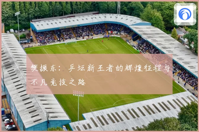 樊振东：乒坛新王者的辉煌征程与不凡竞技之路