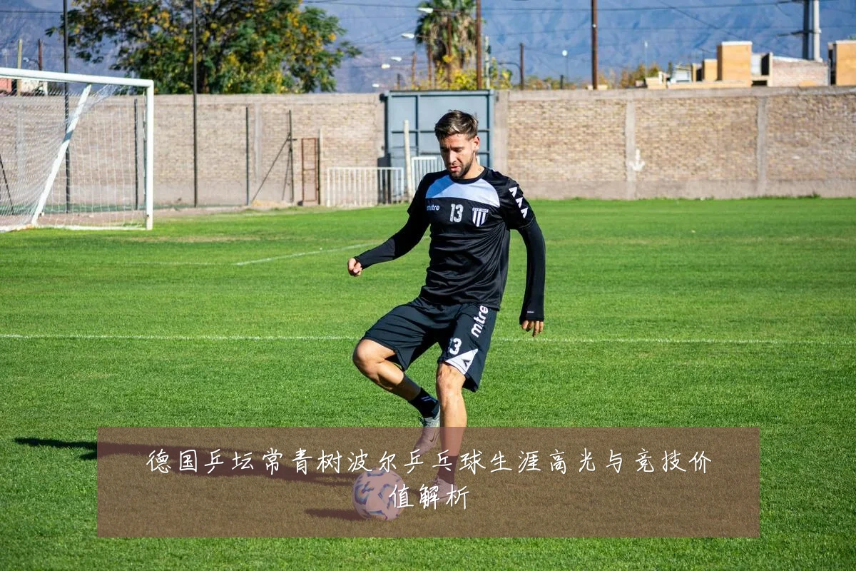 德国乒坛常青树波尔乒乓球生涯高光与竞技价值解析
