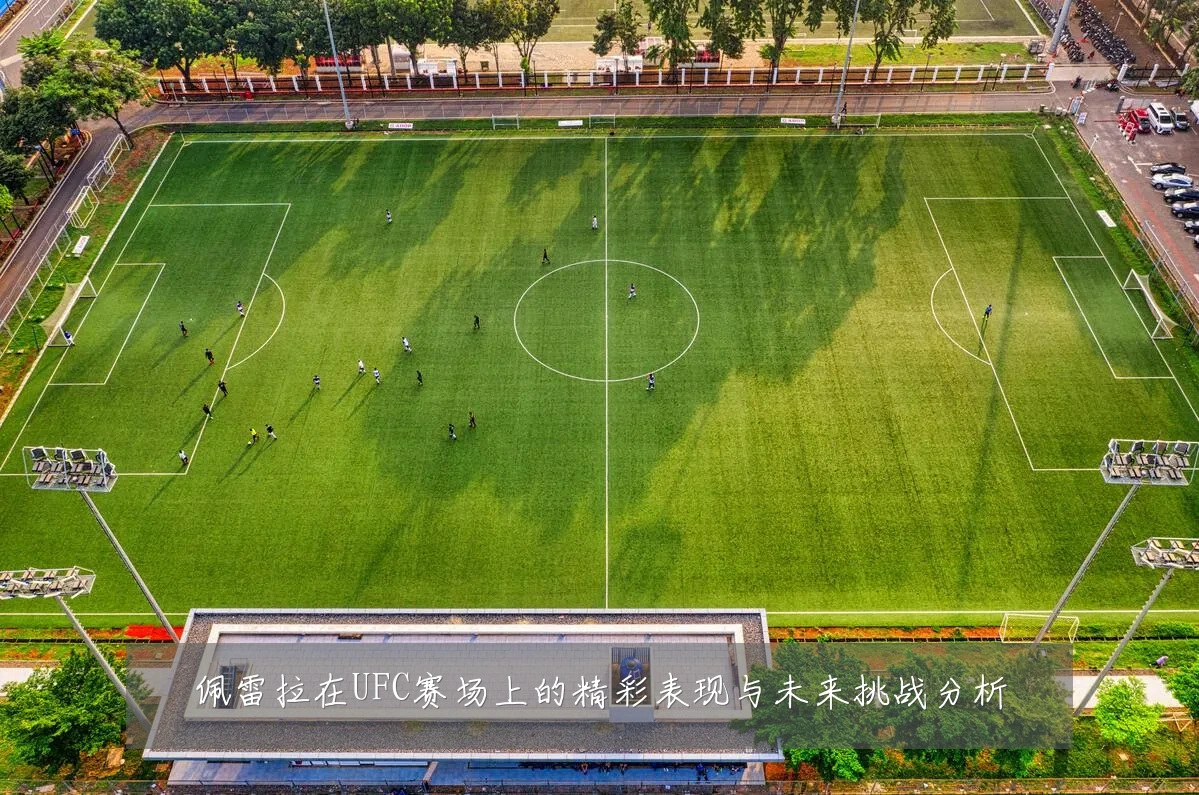 佩雷拉在UFC赛场上的精彩表现与未来挑战分析