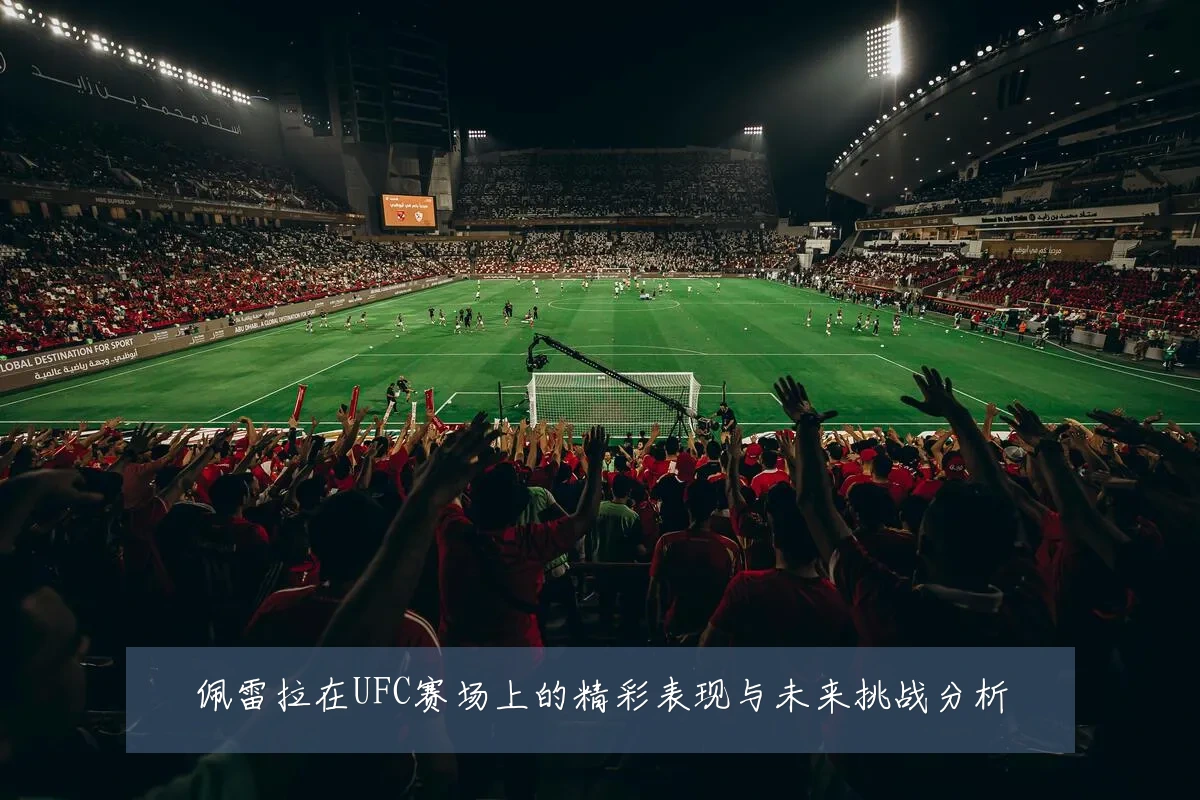 佩雷拉在UFC赛场上的精彩表现与未来挑战分析