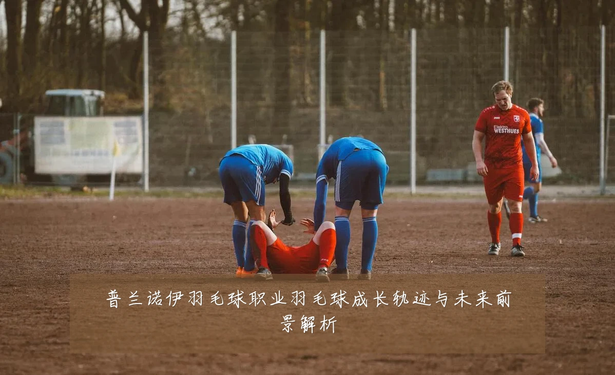 普兰诺伊羽毛球职业羽毛球成长轨迹与未来前景解析