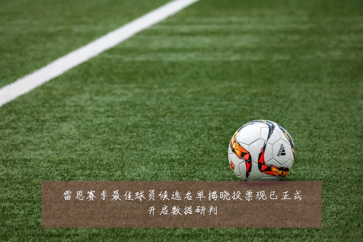 雷恩赛季最佳球员候选名单揭晓投票现已正式开启数据研判
